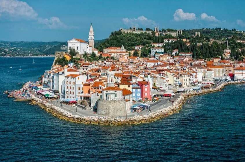 Apartment Istrian View Smarje  Luaran gambar